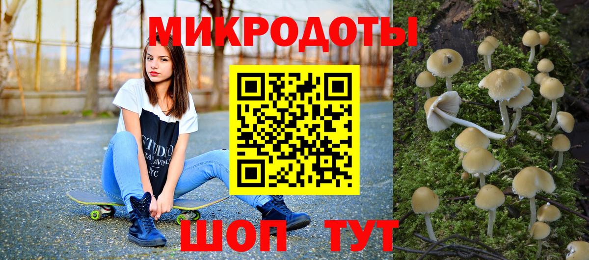Галлюциногенные грибы Psilocybine cubensis Белая Калитва